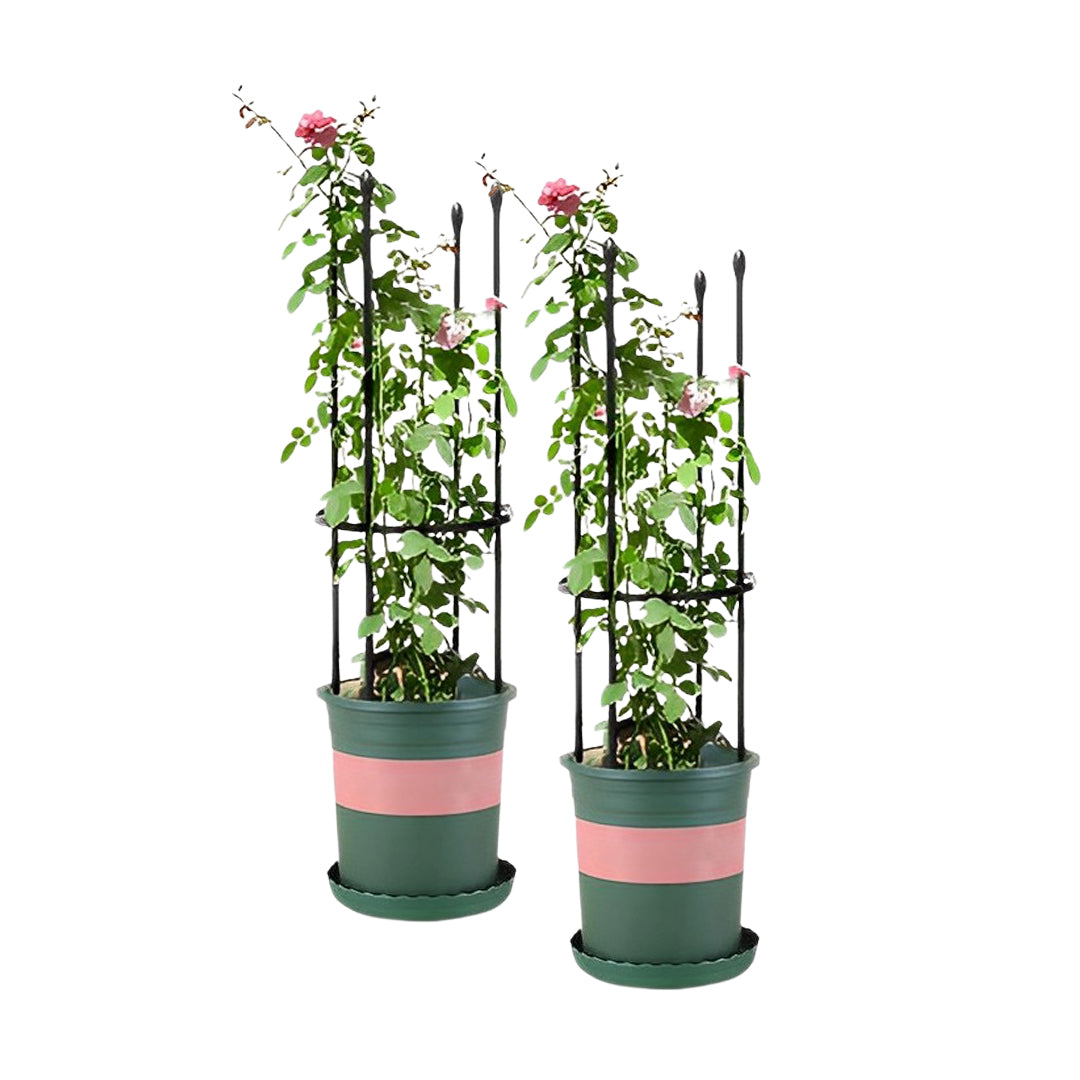 SOGA 2X 73cm 4-Bar Plant Frame Stand Trellis Vegetable Flower Herbs Outdoor Vine Support Garden Rack with Rings - Cafe Supply