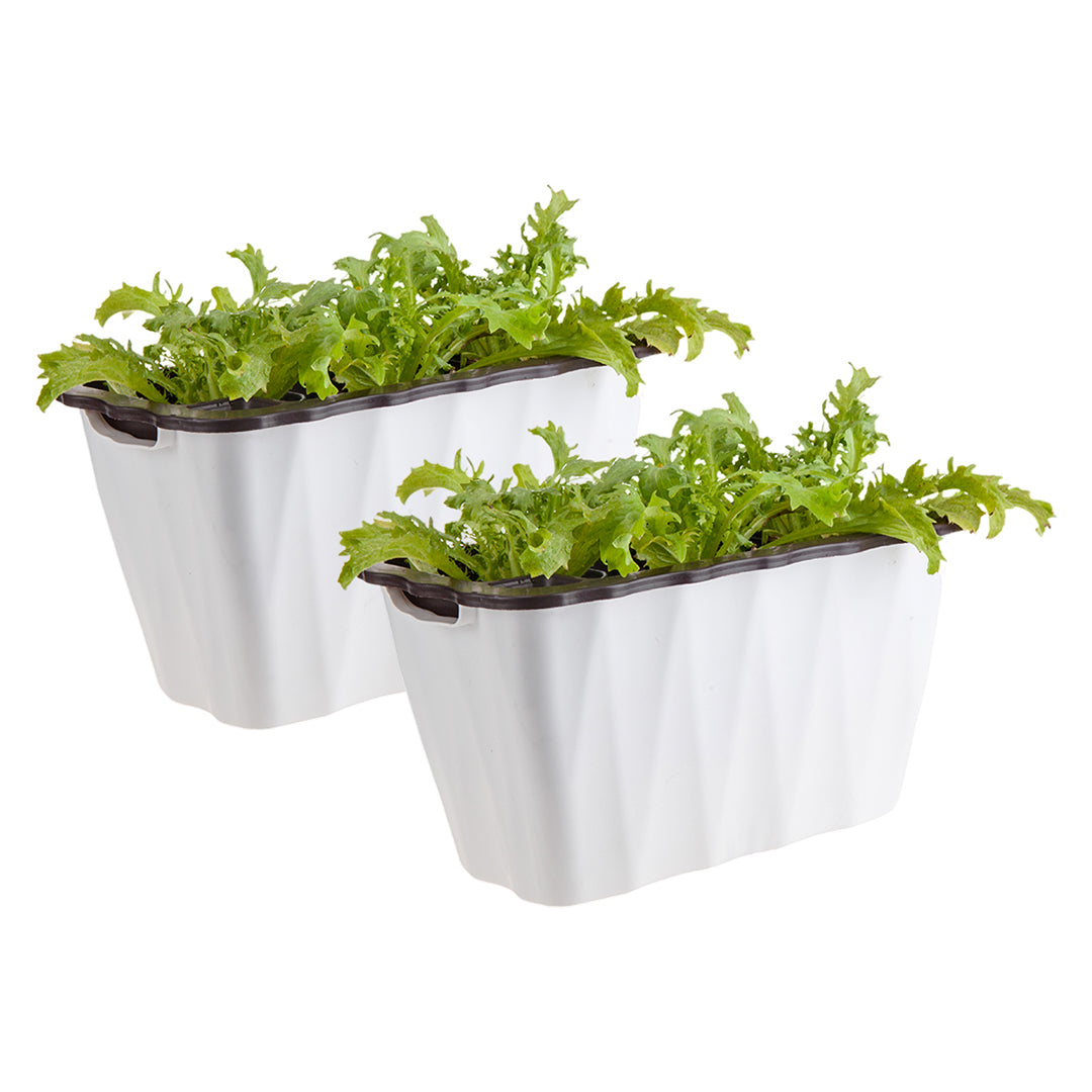 SOGA 2X 35cm Small White Rectangular Flowerpot Vegetable Herb Flower Outdoor Plastic Box Garden Decor - Cafe Supply