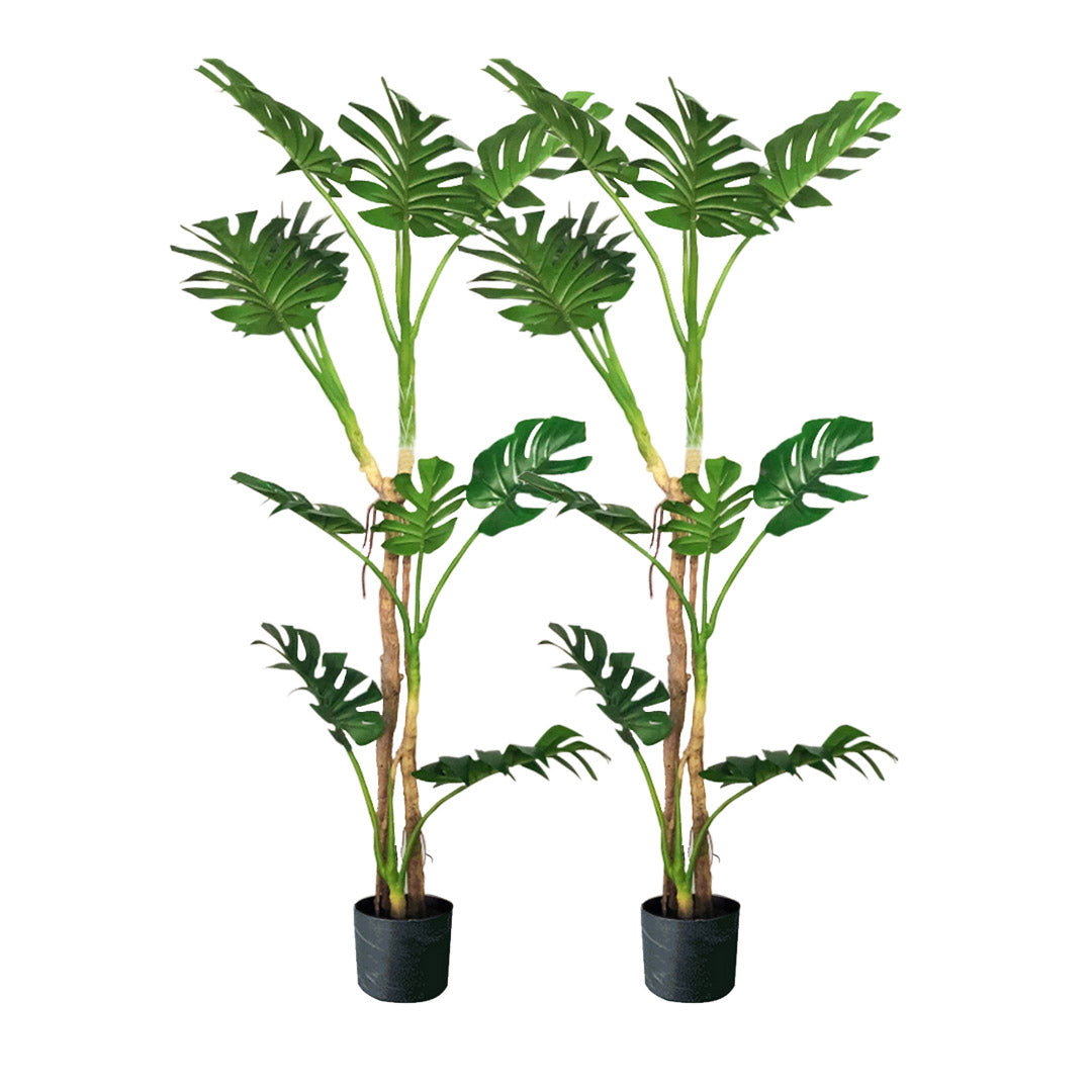 SOGA 2X 175cm Green Artificial Indoor Turtle Back Tree Fake Fern Plant Decorative - Cafe Supply