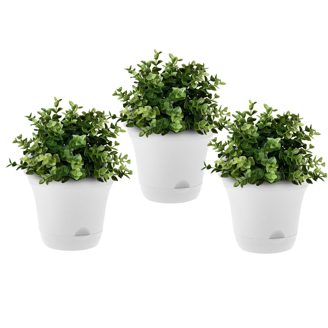 SOGA 19.5 cm White Plastic Plant Pot Self Watering Planter Flower Bonsai Indoor Outdoor Garden Decor Set of 3 - Cafe Supply