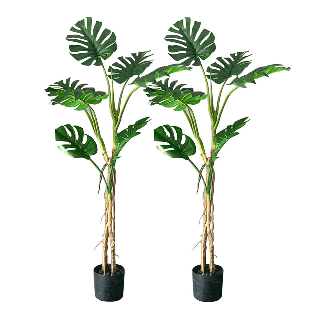 SOGA 2X 160cm Green Artificial Indoor Turtle Back Tree Fake Fern Plant Decorative - Cafe Supply