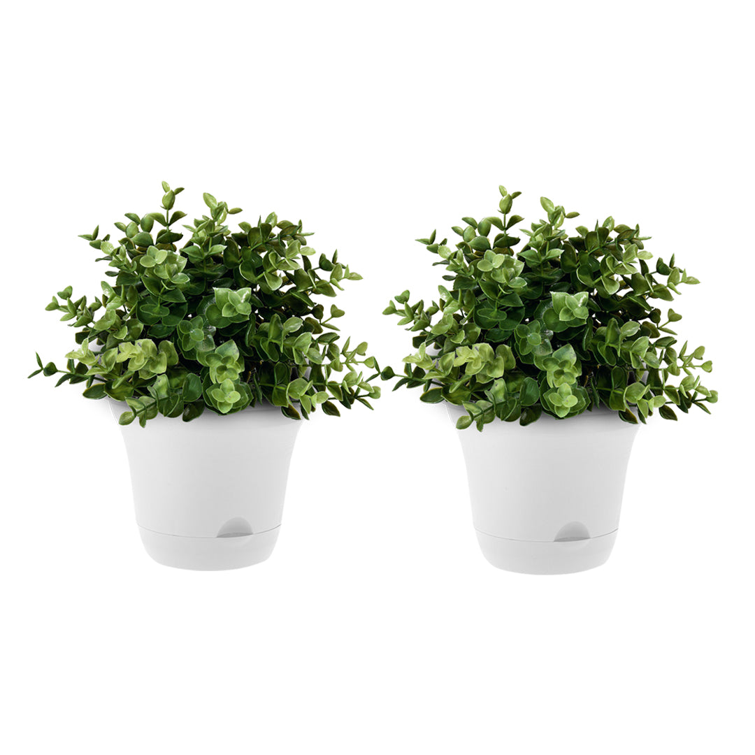 SOGA 19.5 cm White Plastic Plant Pot Self Watering Planter Flower Bonsai Indoor Outdoor Garden Decor Set of 2 - Cafe Supply