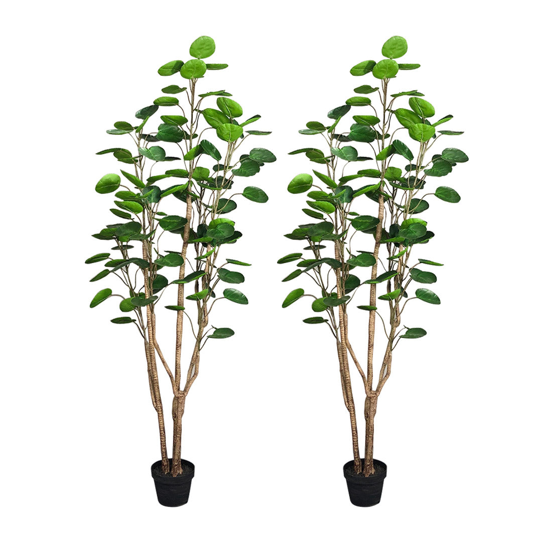 SOGA 2X 180cm Green Artificial Indoor Pocket Money Tree Fake Plant Simulation Decorative - Cafe Supply