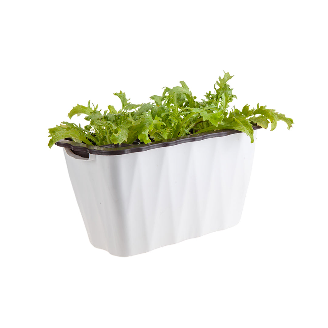 SOGA 35cm Small White Rectangular Flowerpot Vegetable Herb Flower Outdoor Plastic Box Garden Decor - Cafe Supply