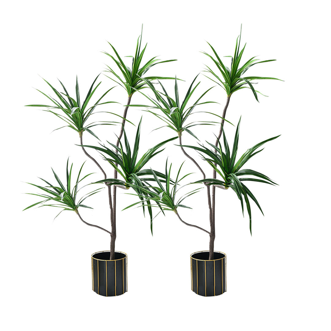 SOGA 2X 180cm Green Artificial Indoor Brazlian Iron Tree Fake Plant Decorative 4 Heads - Cafe Supply