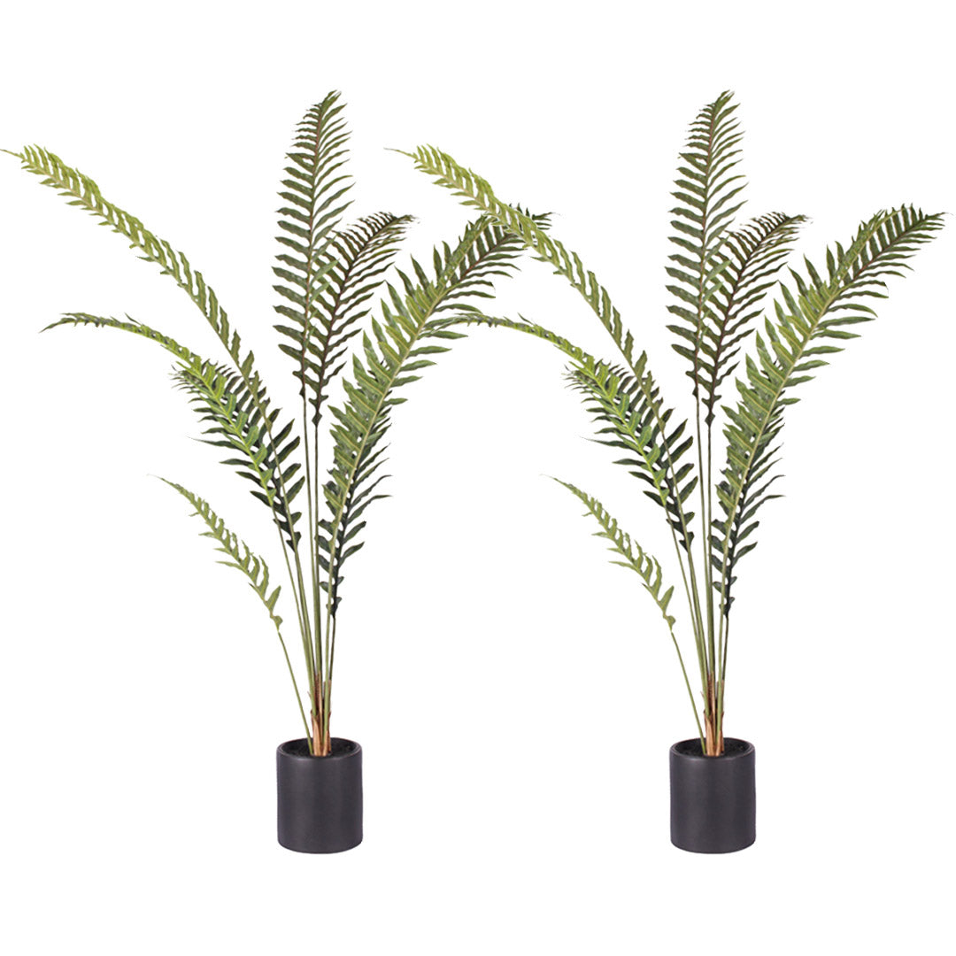 SOGA 2X 210cm Artificial Green Rogue Hares Foot Fern Tree Fake Tropical Indoor Plant Home Office Decor - Cafe Supply
