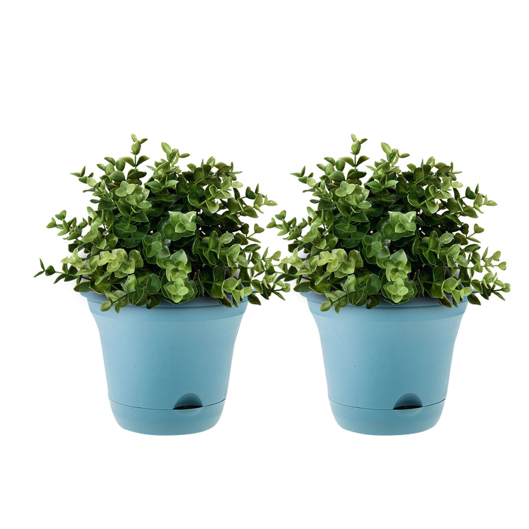 SOGA 19.5 cm Blue Plastic Plant Pot Self Watering Planter Flower Bonsai Outdoor Garden Decor Set of 2 - Cafe Supply