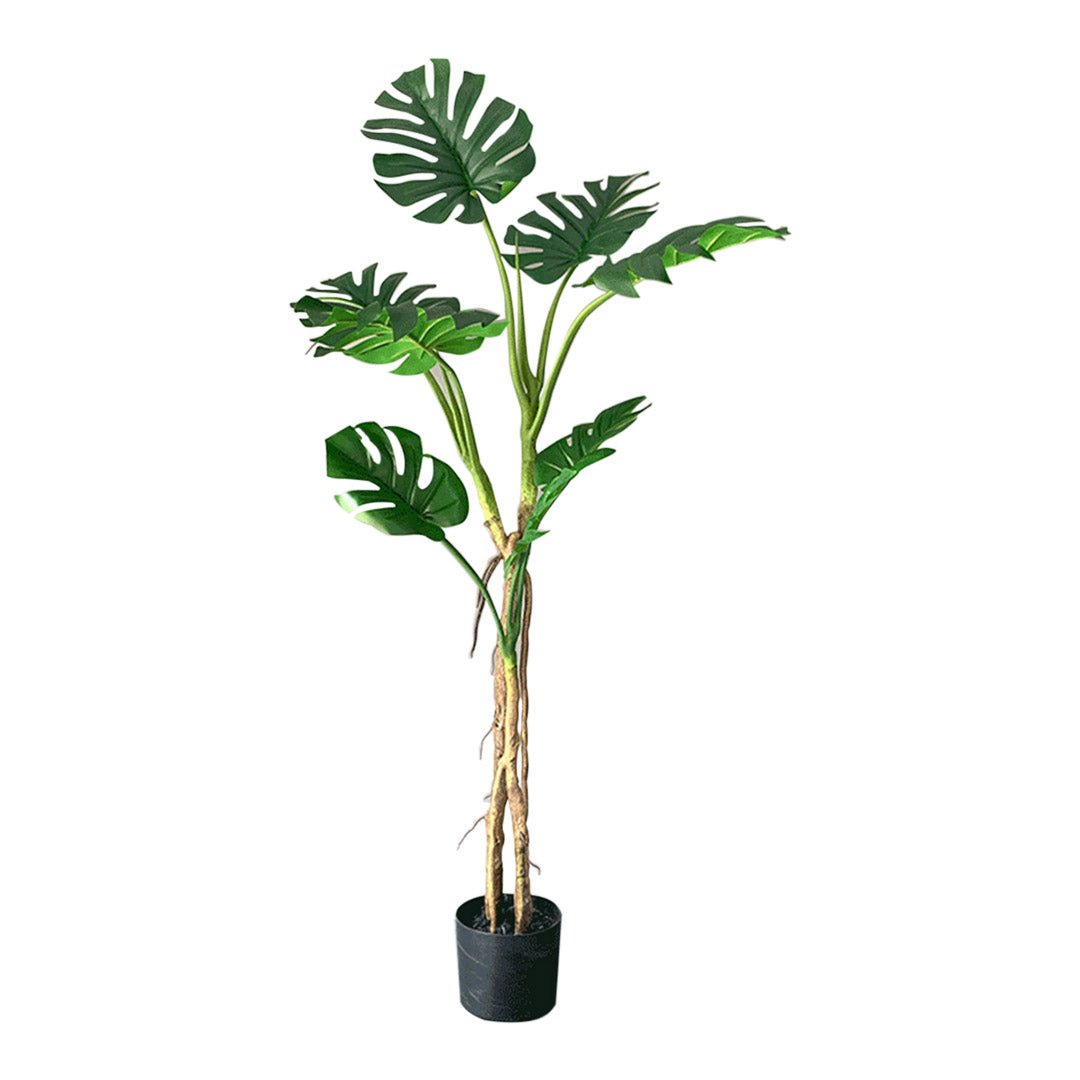 SOGA 160cm Green Artificial Indoor Turtle Back Tree Fake Fern Plant Decorative - Cafe Supply