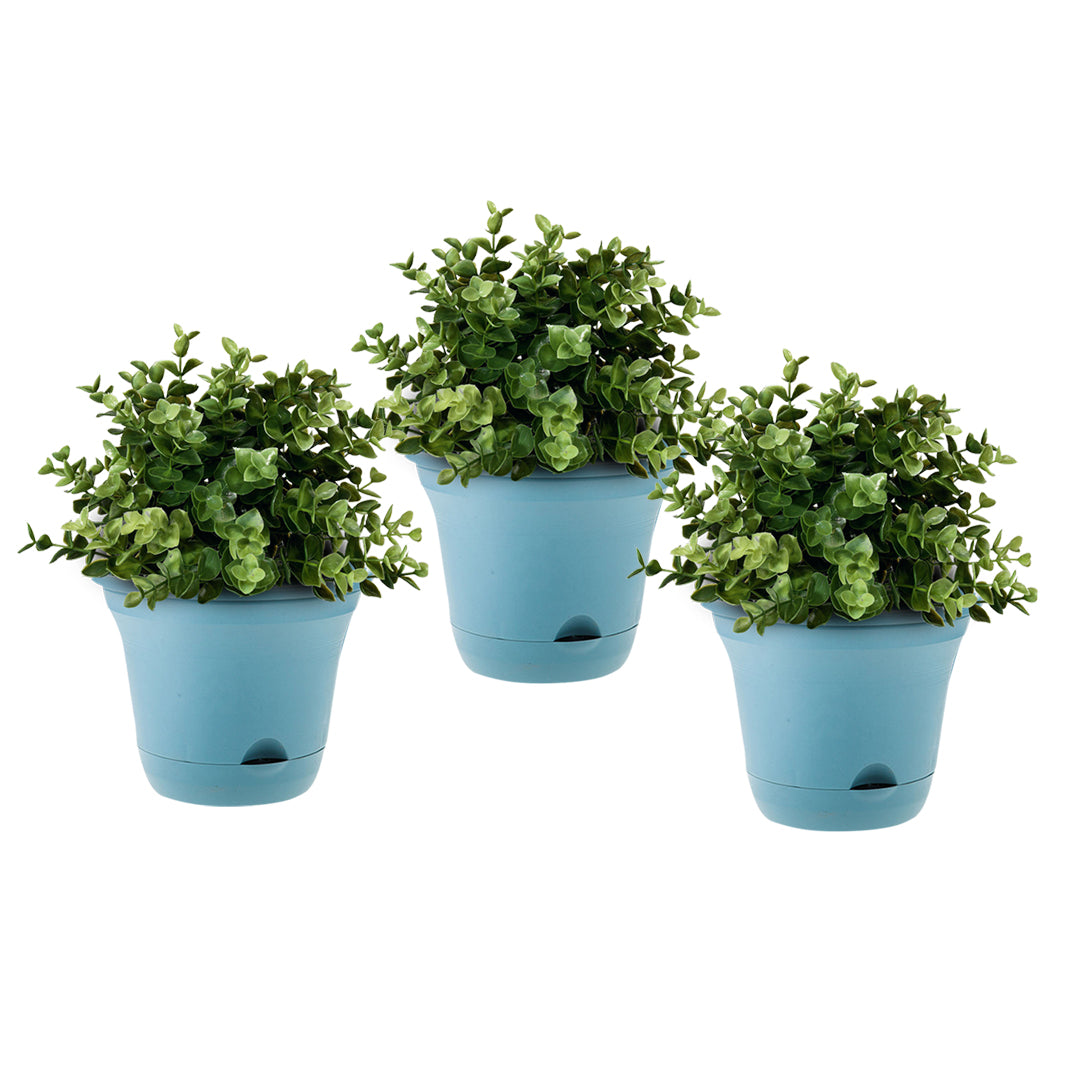 SOGA 19.5 cm Blue Plastic Plant Pot Self Watering Planter Flower Bonsai Indoor Outdoor Garden Decor Set of 3 - Cafe Supply