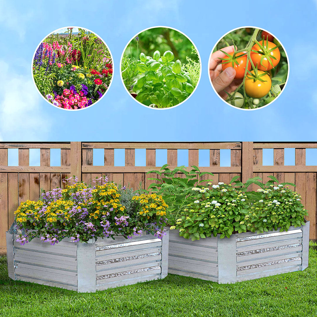 SOGA 60cm Hexagon Shape Galvanised Raised Garden Bed Vegetable Herb Flower Outdoor Planter Box - Cafe Supply