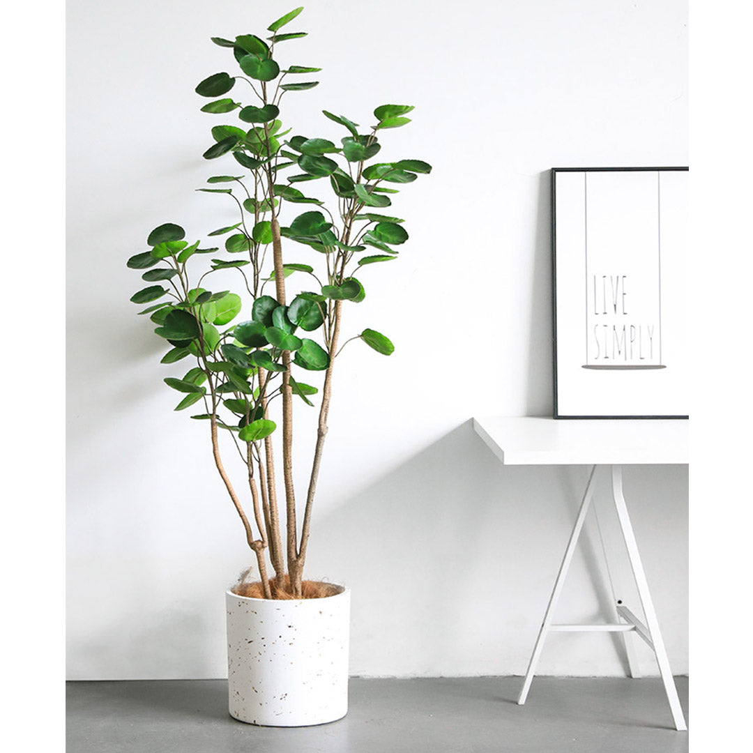 SOGA 2X 180cm Green Artificial Indoor Pocket Money Tree Fake Plant Simulation Decorative - Cafe Supply