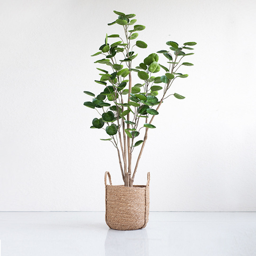 SOGA 2X 180cm Green Artificial Indoor Pocket Money Tree Fake Plant Simulation Decorative - Cafe Supply