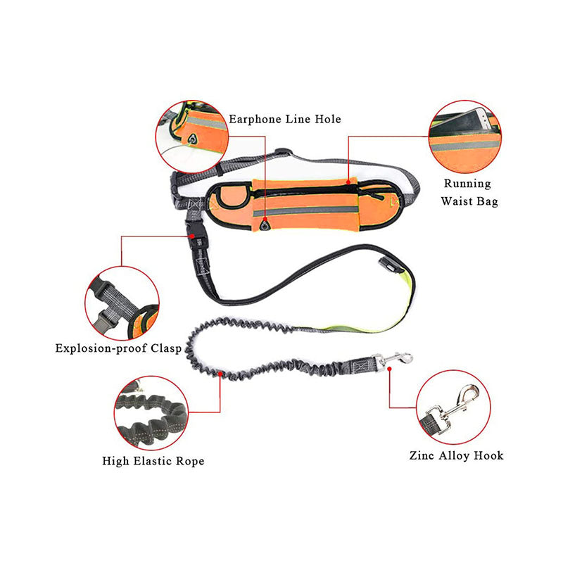 SOGA 2X Orange Adjustable Hands-Free Pet Leash Bag Dog Lead Walking Running Jogging Pet Essentials - Cafe Supply