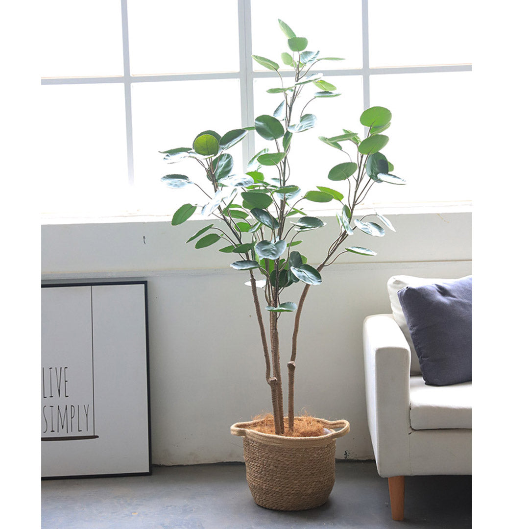 SOGA 2X 180cm Green Artificial Indoor Pocket Money Tree Fake Plant Simulation Decorative - Cafe Supply