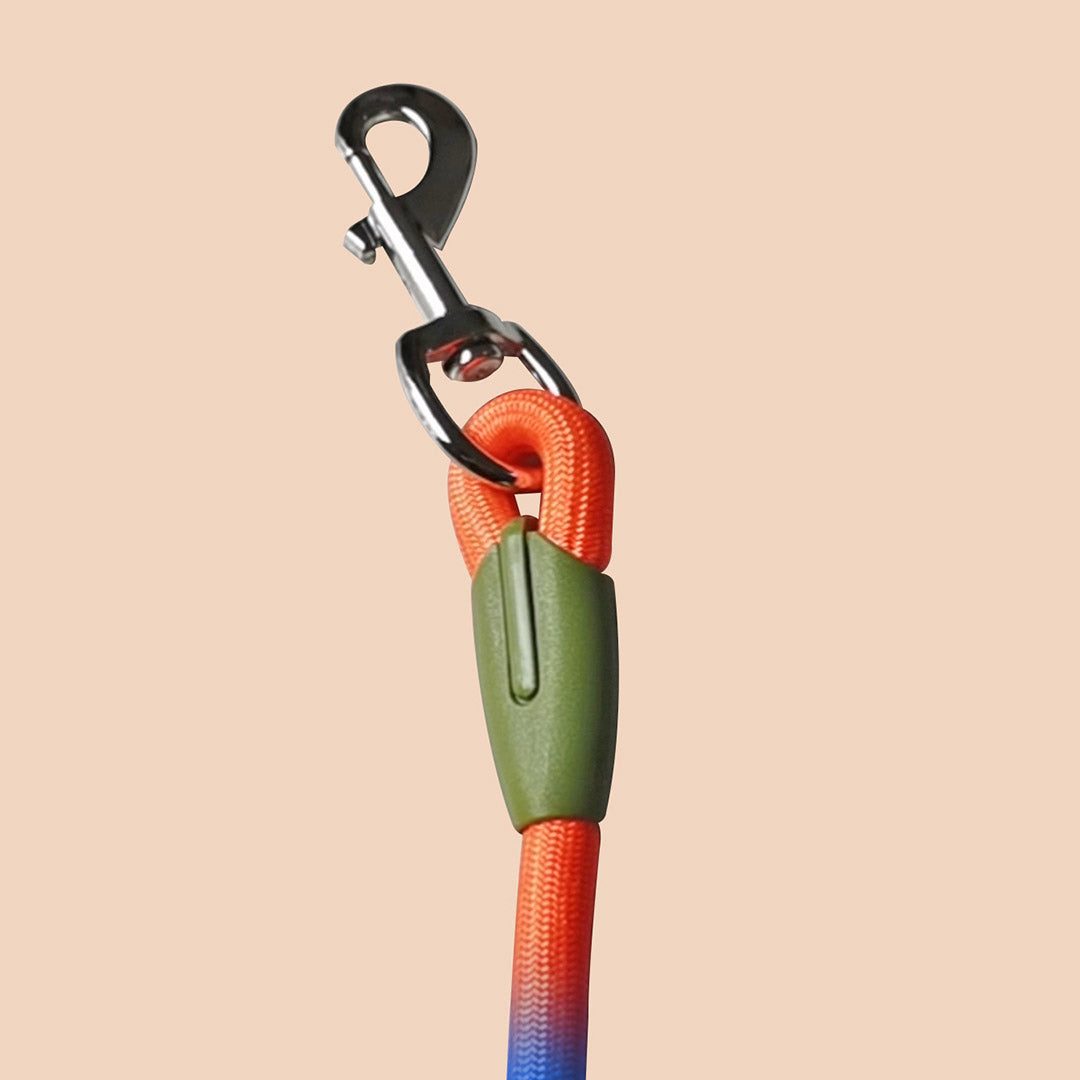 SOGA 2X 220cm Multifunction Hands-Free Rope Pet Cat Dog Puppy Double Ended Leash for Walking Training Tracking Obedience Rainbow - Cafe Supply