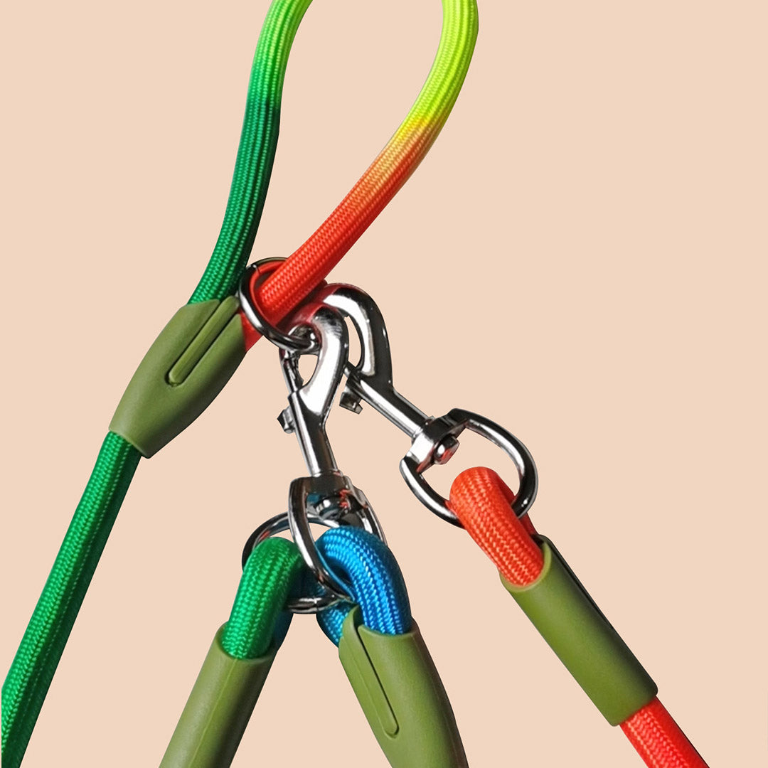 SOGA 2X 220cm Multifunction Hands-Free Rope Pet Cat Dog Puppy Double Ended Leash for Walking Training Tracking Obedience Rainbow - Cafe Supply