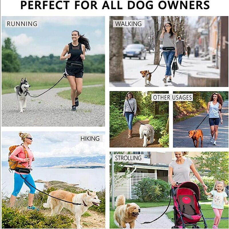 SOGA 2X Black Adjustable Hands-Free Pet Leash Bag Dog Lead Walking Running Jogging Pet Essentials - Cafe Supply