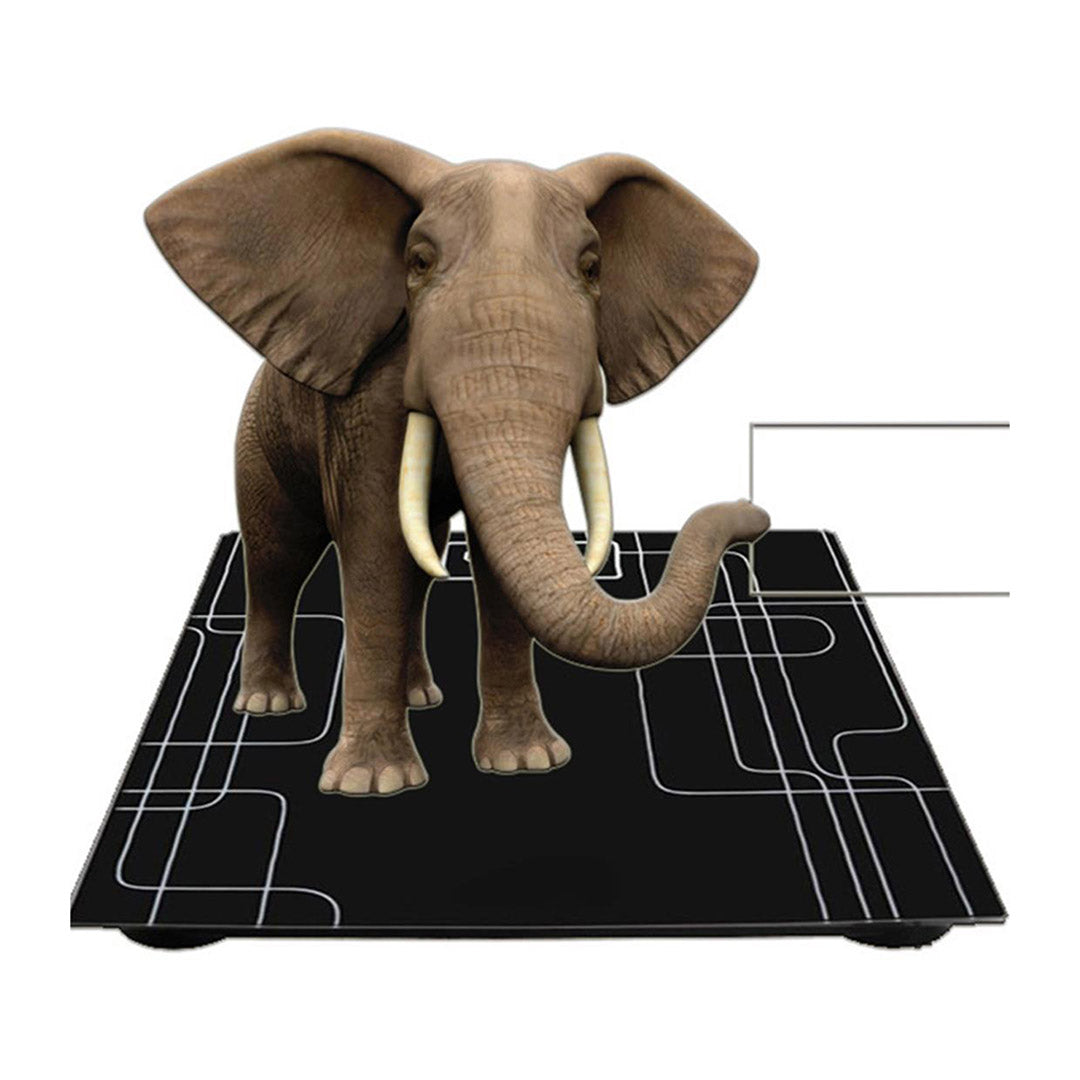 SOGA 2X 180kg Electronic Talking Scale Weight Fitness Glass Bathroom Scale LCD Display - Cafe Supply