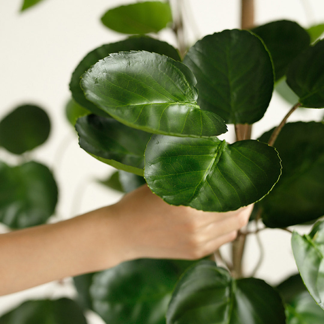 SOGA 2X 180cm Green Artificial Indoor Pocket Money Tree Fake Plant Simulation Decorative - Cafe Supply