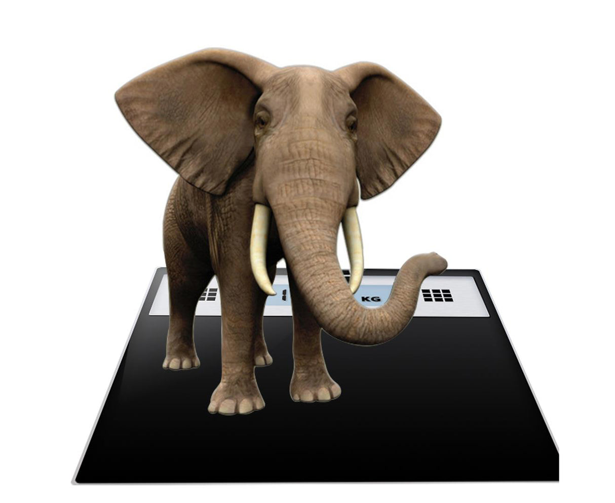 SOGA 2X 180kg Electronic Talking Scale Weight Fitness Glass Bathroom Scale LCD Display Stainless - Cafe Supply