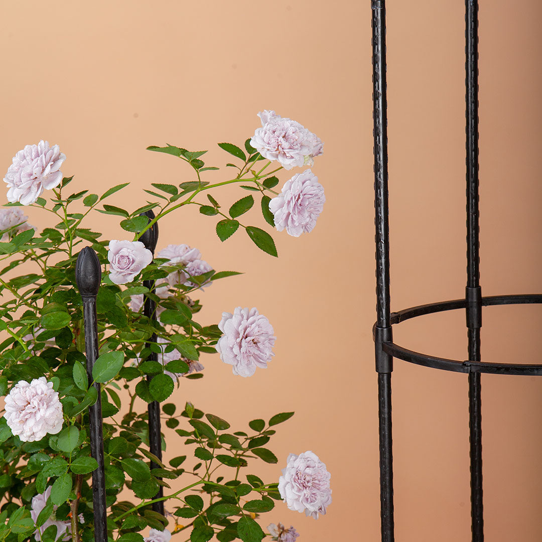 SOGA 73cm 4-Bar Plant Frame Stand Trellis Vegetable Flower Herbs Outdoor Vine Support Garden Rack with Rings - Cafe Supply