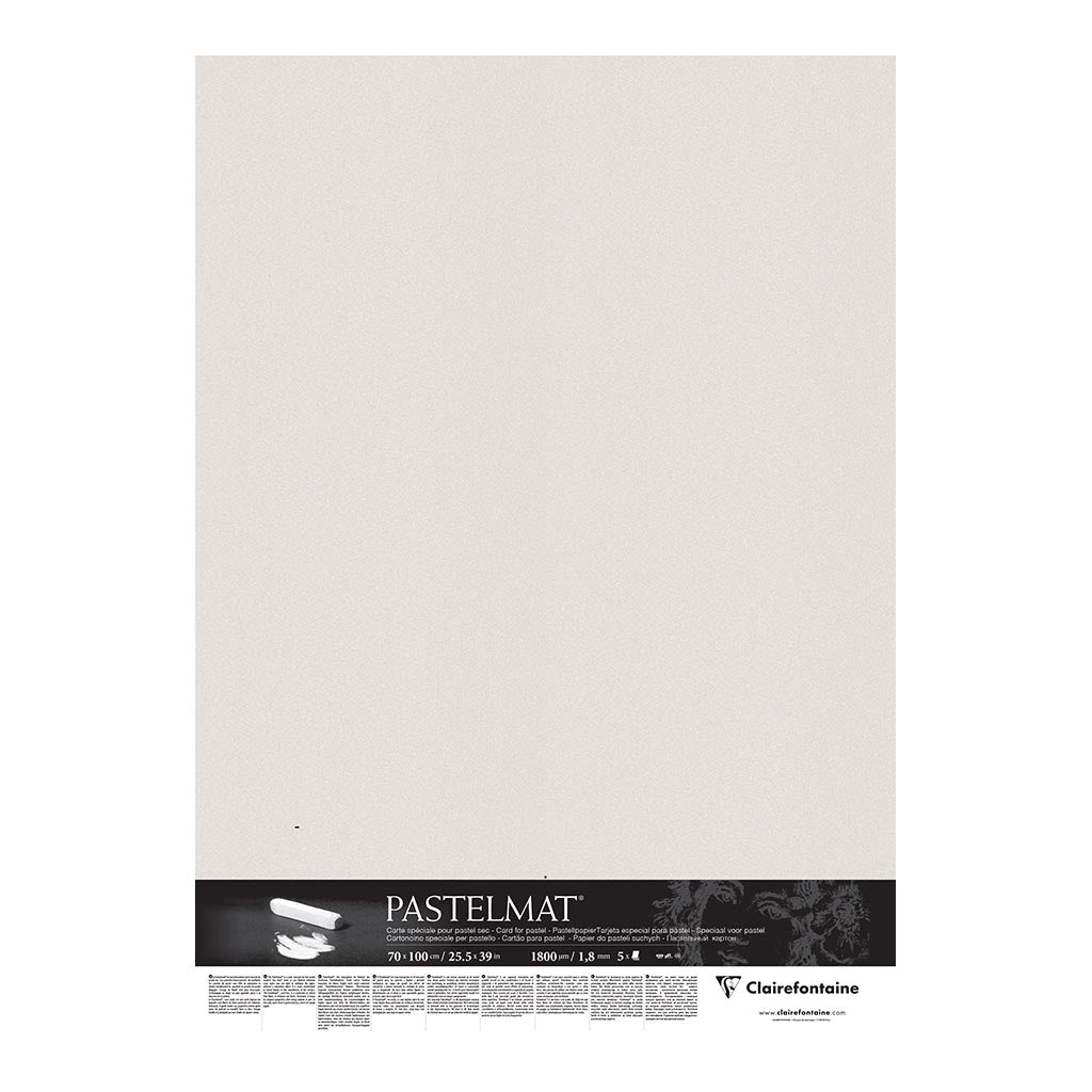 Pastelmat Mount Board 70x100cm Clear Grey, Pack of 5 - Cafe Supply