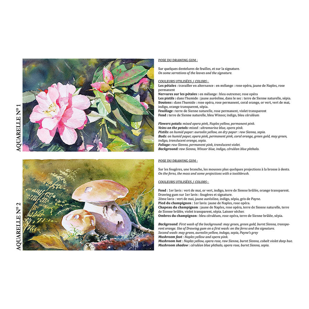 Etival Pad Macaroons A4 300g 12sh - Cafe Supply