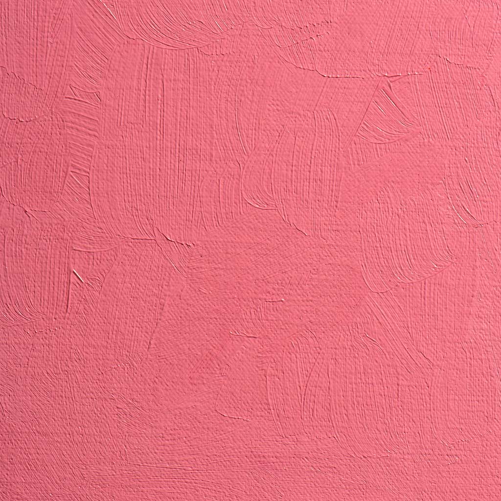 BLOCKX Oil Tube 35ml S3 421 Rose Madder Pale - Cafe Supply