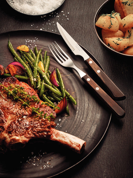 Tramontina Churrasco Steak Knife Serrated Narrow Blade Polywood Brown 4" , 10cm - Cafe Supply