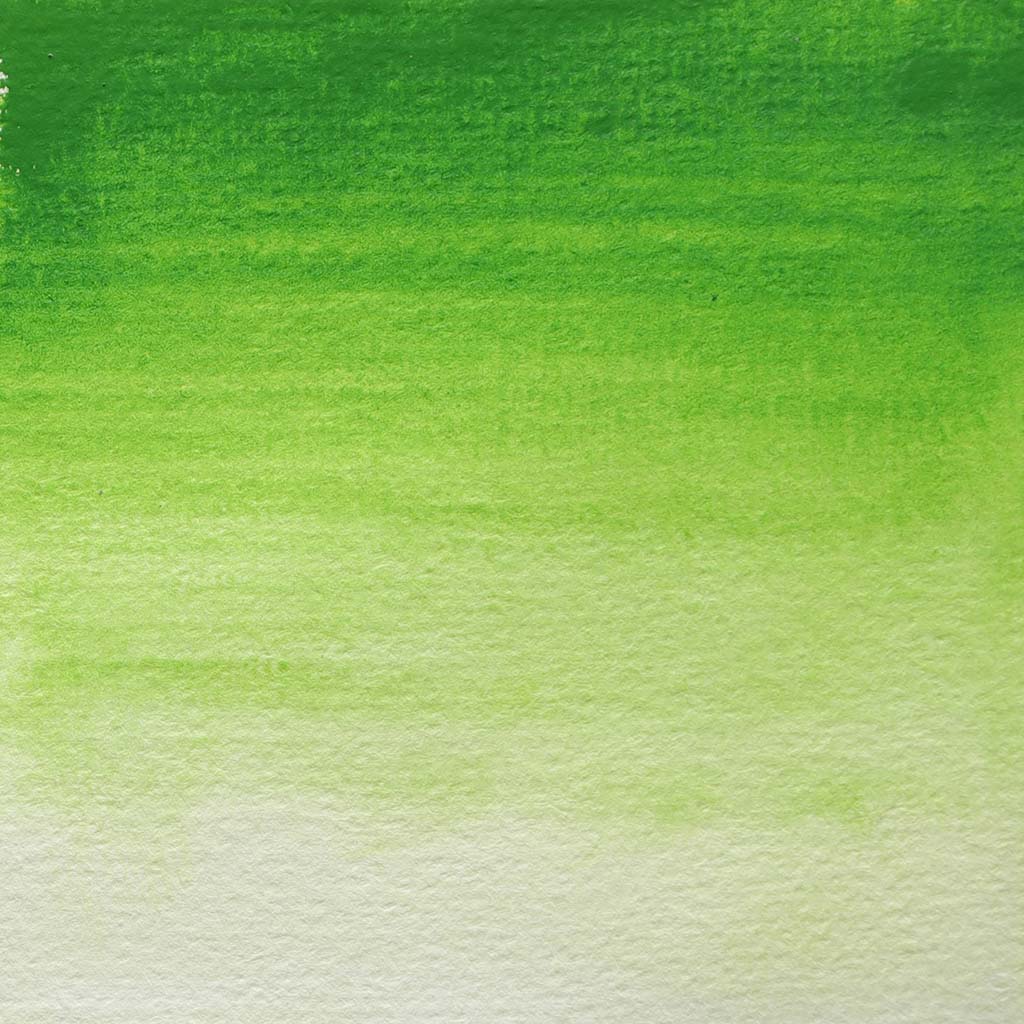 BLOCKX Watercolour Tube 15ml S3 361 Sap Green - Cafe Supply