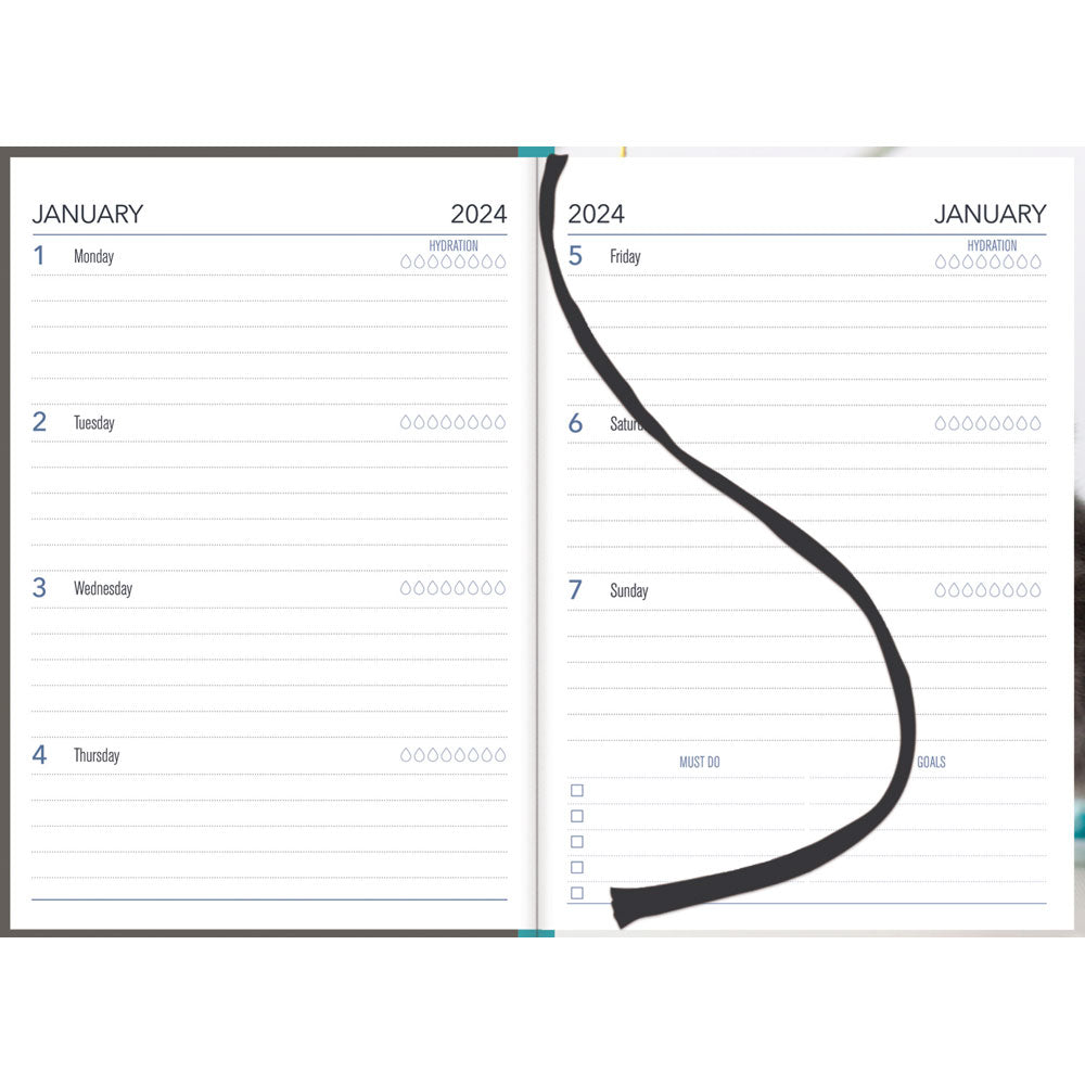 Collins Diary A53 Cats & Dogs Even Year - Cafe Supply