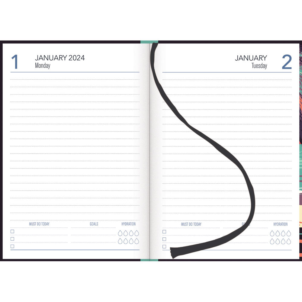 Collins A51 Kiwi Country Day to Page Diary Even Year - Cafe Supply