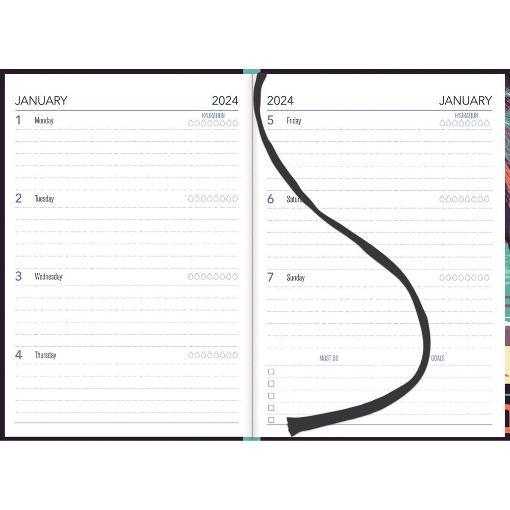 Collins A51 Kiwi Country Day to Page Diary Even Year - Cafe Supply