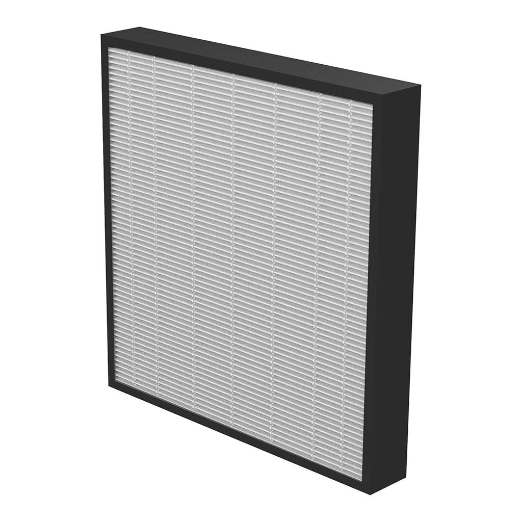 AeraMax PRO AM3-4 True HEPA Filter, Pack of 2 - Cafe Supply
