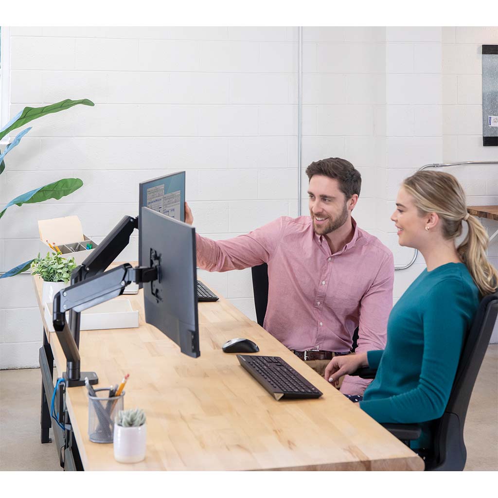 Fellowes Monitor Arm Platinum Dual - Cafe Supply