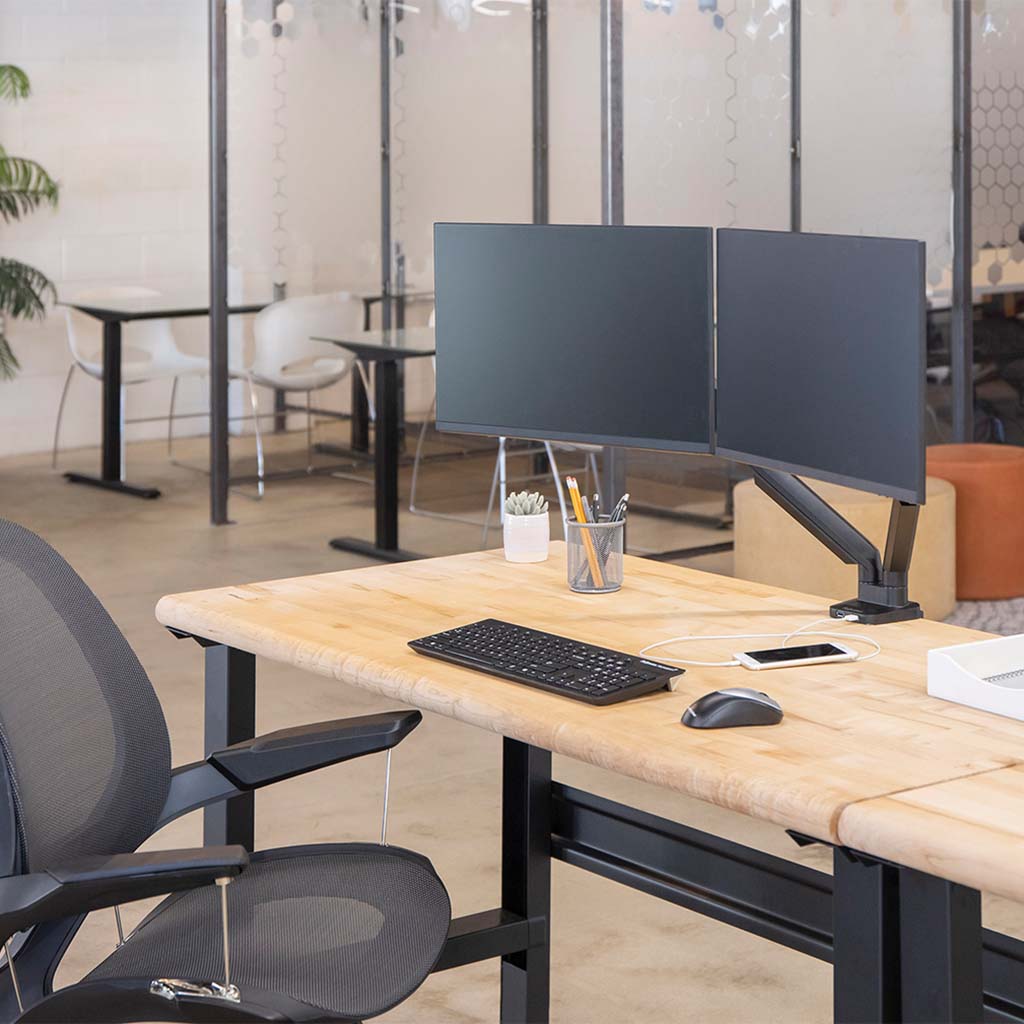 Fellowes Monitor Arm Platinum Dual - Cafe Supply