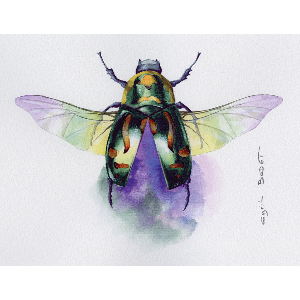 Etival Cold Press Paper 56x76cm 300g, Pack of 10 - Cafe Supply