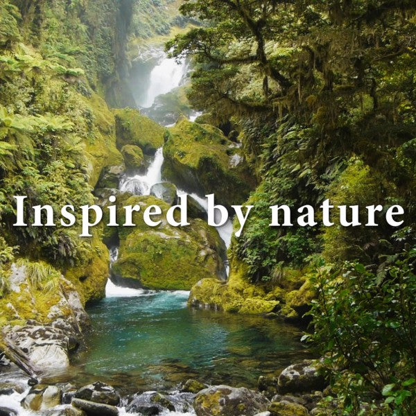 Piwari Manuka Honey Shampoo 40ml (280) - Cafe Supply