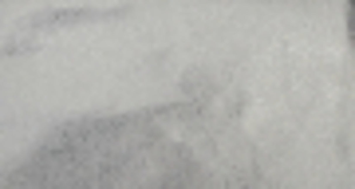 Cakeboard Paper Fern Leaf Silver 500mm (10m) - Cafe Supply