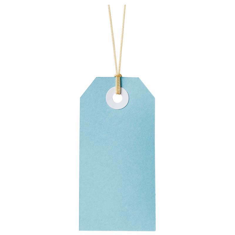 Avery Tag-It Pastel Blue 24 Pack 48x96mm - Cafe Supply