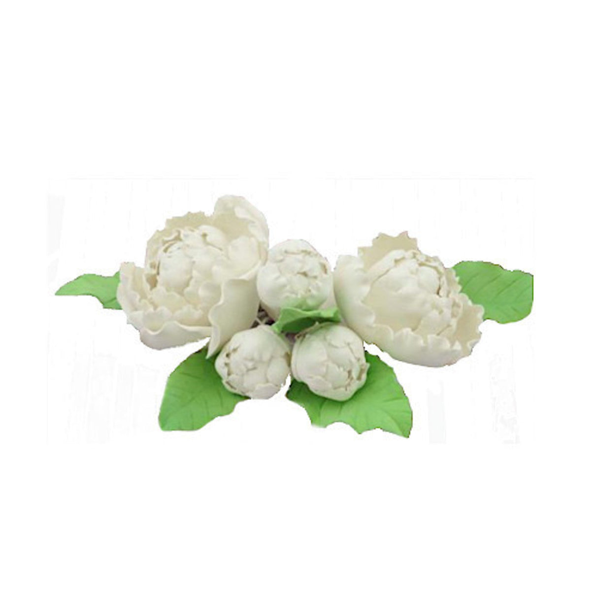 5 Single Peonies With Leaves, White, Assorted Sizes - Cafe Supply