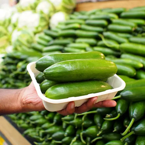 500g Plant Fibre Produce Tray - Cafe Supply