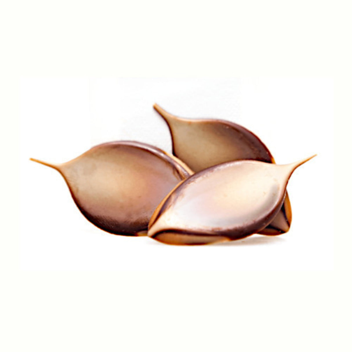 Choc Deco-Leaf Marbled DK/WH 50mmx24mm (333) - Cafe Supply