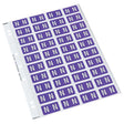 Codafile Label Alpha N 25mm Pack 5 Sheets - Cafe Supply