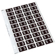 Codafile Label Alpha S 25mm Pack 5 Sheets - Cafe Supply