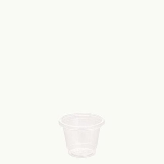 Sample Cup 30ml - Cafe Supply