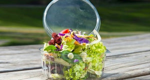Hinged Lid Containers 