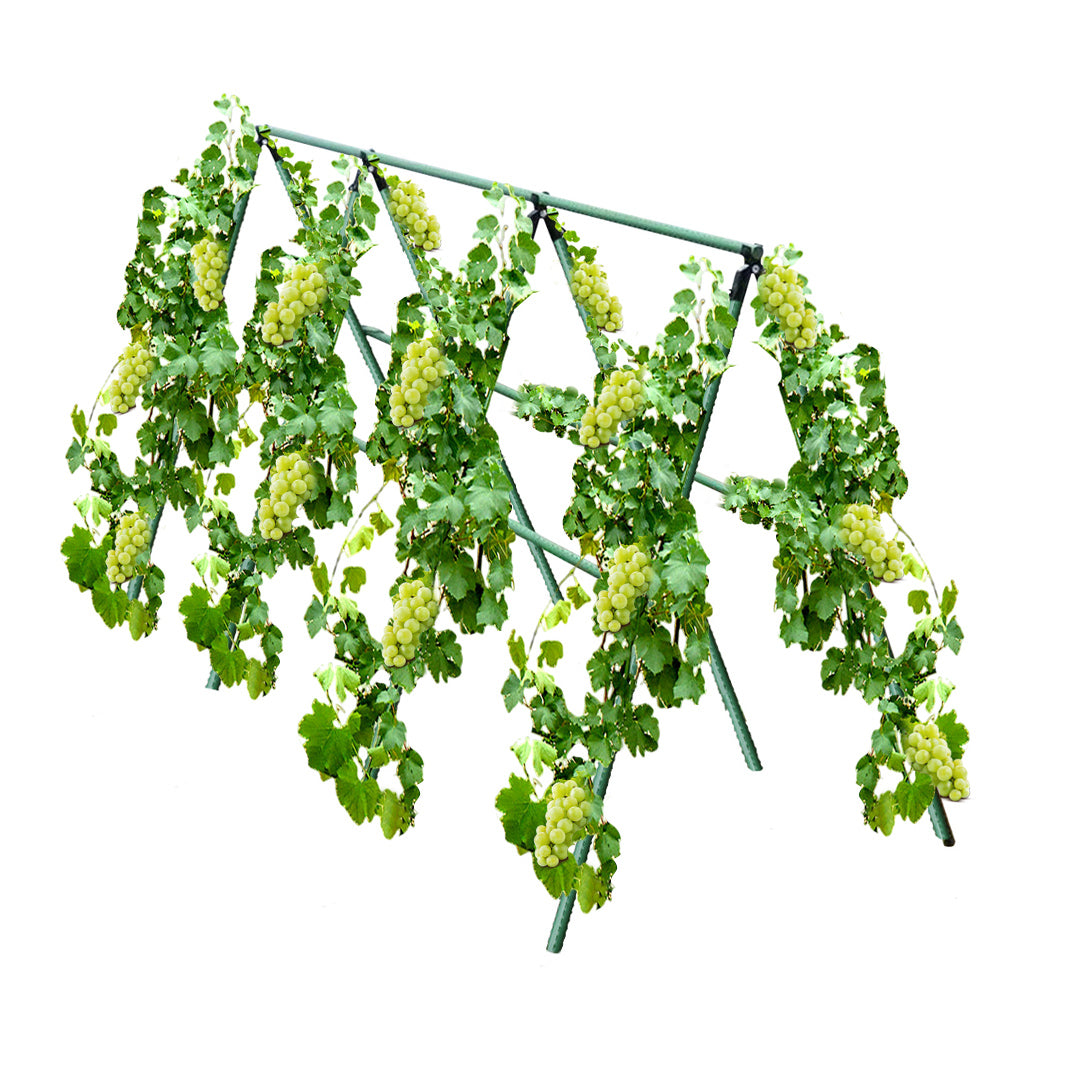 SOGA 150X120cm Plant Frame Tube Trellis Vegetable Flower Herbs Outdoor Vine Support Adjustable Garden Rack - Cafe Supply