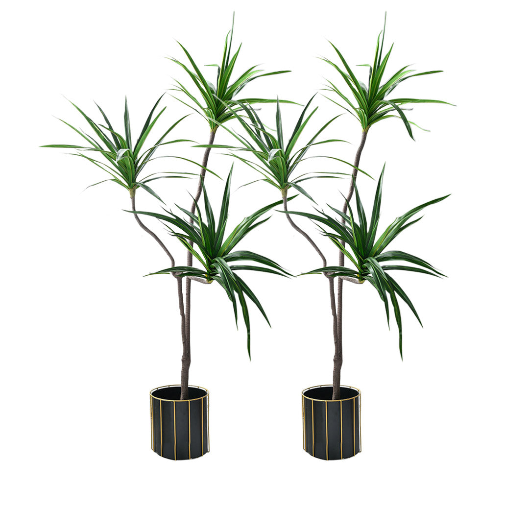 SOGA 2X 180cm Green Artificial Indoor Brazlian Iron Tree Fake Plant Decorative 3 Heads - Cafe Supply