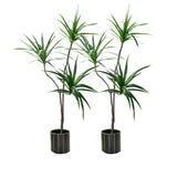 SOGA 2X 180cm Green Artificial Indoor Brazlian Iron Tree Fake Plant Decorative 3 Heads - Cafe Supply